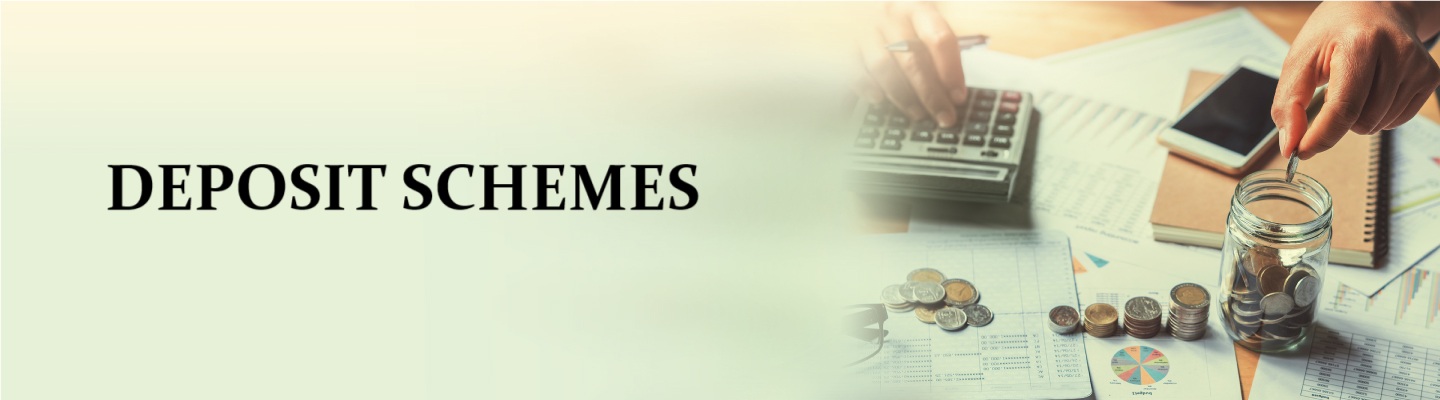 Services Cover Image